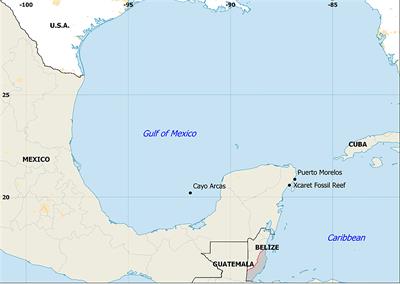Lower skeletal extension in Pleistocene Orbicella (Montastraea) corals than in their modern counterparts